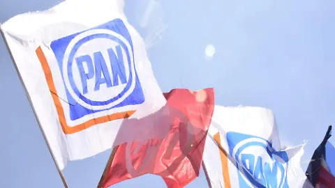 image pan