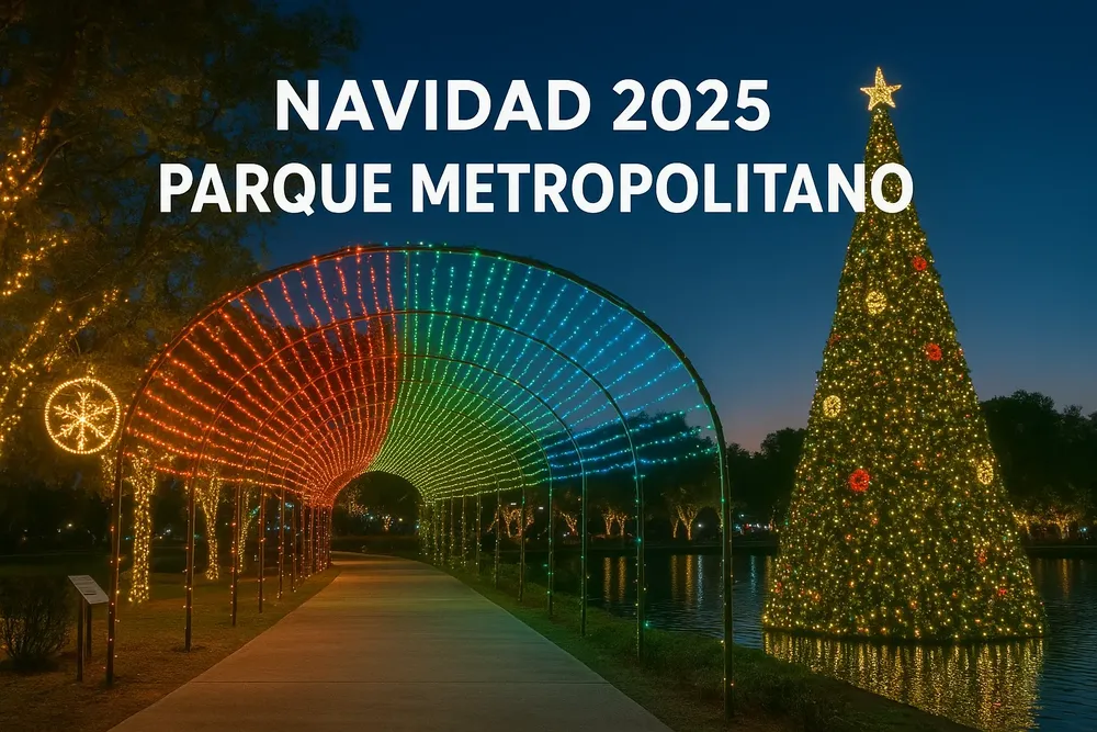 ChatGPT Image 5 dic 2025, 10_55_22 a.m.