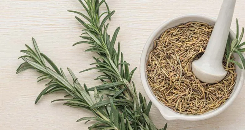 Propiedades-tomillo-PORTADA-251124-800x427